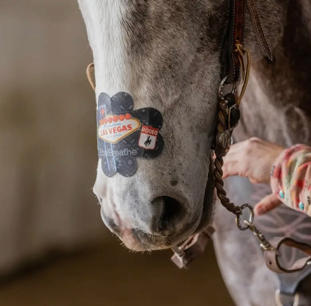 EquiBreathe Las Vegas Equine Nasal Patch