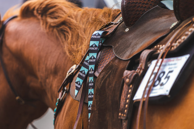 Turquoise Punchy Cinch Strap Set