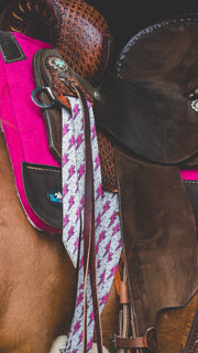 Pink Bolt Cinch Strap Set