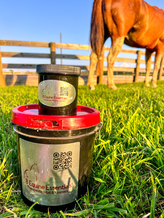 B Equine Essentials Mud