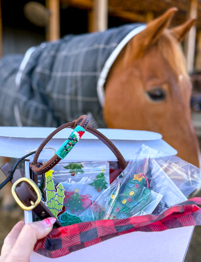****December Boxes available December 1st****Headstall Subscription Box
