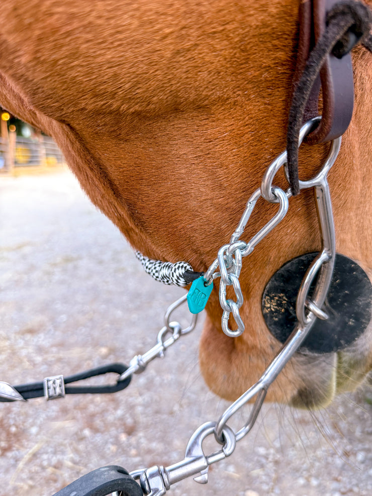 Boca Brand x Hustle and Home Checks Out Gift Box