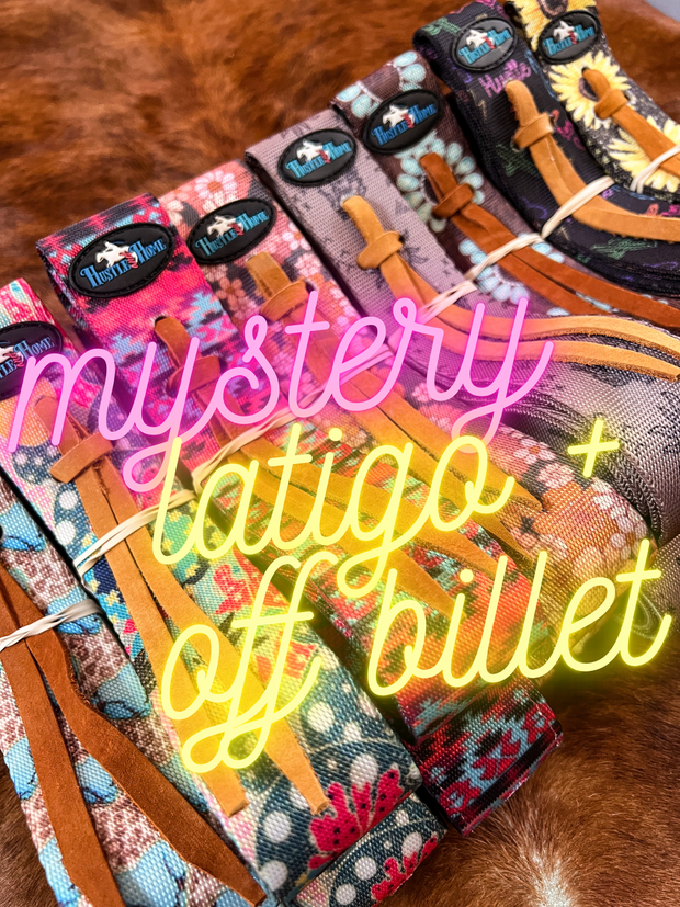 Mystery Cinch Strap Set (final sale)